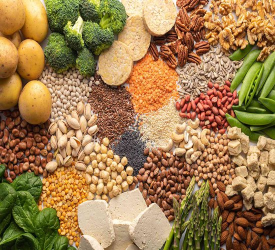 Plant proteins by silver hand general trading Plant proteins by silver hand general trading