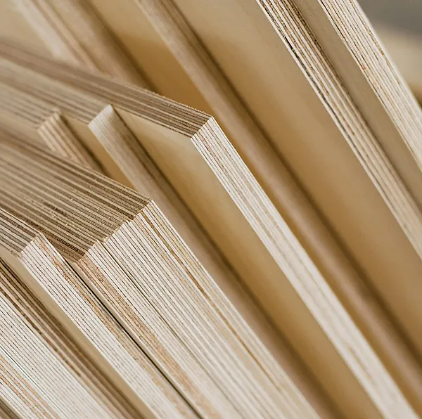 Silver hand Timber & plywood trading