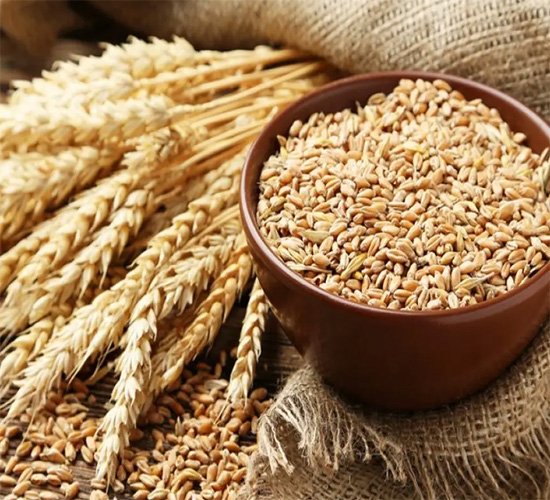 Wheat by silver hand general trading Wheat by silver hand general trading
